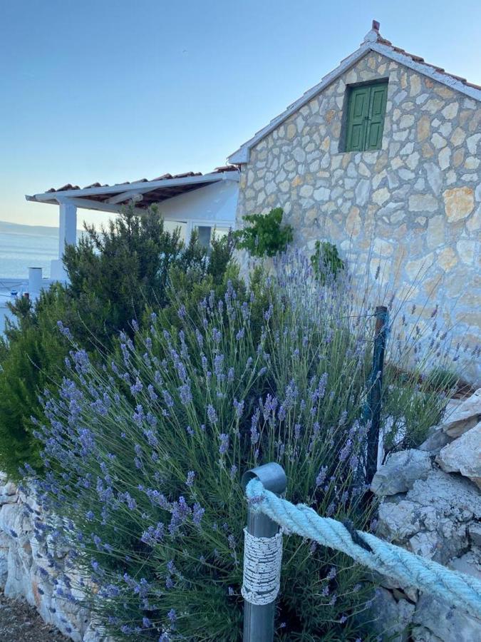 Alleinstehendes Haus Am Meer Robinson 特孔 外观 照片